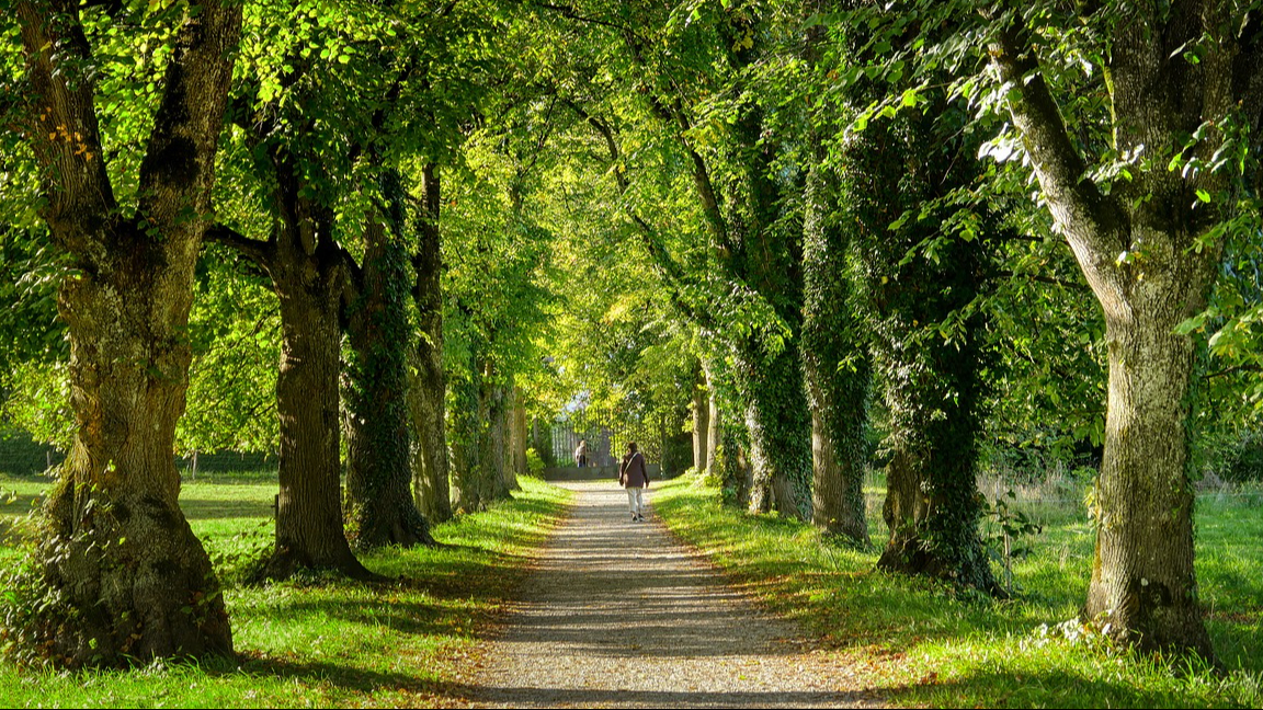 Spaziergang